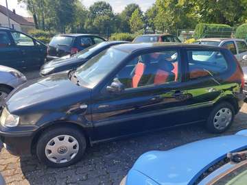 Polo III 6N Trendline