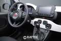 Fiat Panda Pandina 1.0 Firefly Hybrid 70CV Cross Bleu - thumbnail 19