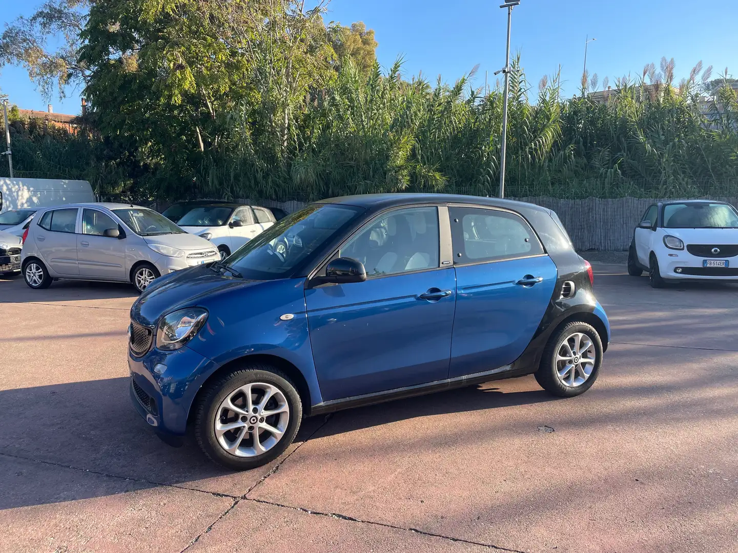 smart forFour Forfour 1.0 Passion 71cv twinamic Bleu - 1