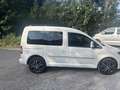 Volkswagen Caddy 2.0 TDI (5-Si.) 4MOTION Edition 30 Weiß - thumbnail 3