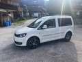 Volkswagen Caddy 2.0 TDI (5-Si.) 4MOTION Edition 30 Weiß - thumbnail 1