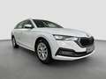 Skoda Octavia Combi 2.0 TDI DSG*NAVI*AHK*LED*KAMERA* Weiß - thumbnail 6