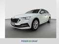 Skoda Octavia Combi 2.0 TDI DSG*NAVI*AHK*LED*KAMERA* Weiß - thumbnail 1