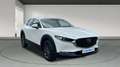 Mazda CX-30 2025 2.5 e-SKYACTIV G MHEV 140CV 6MT FWD PRIME LIN Blanco - thumbnail 3