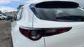 Mazda CX-30 2025 2.5 e-SKYACTIV G MHEV 140CV 6MT FWD PRIME LIN Blanco - thumbnail 19