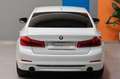 BMW 530 D SPORT LINE 265CV Weiß - thumbnail 13