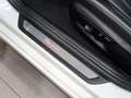 BMW 530 D SPORT LINE 265CV Weiß - thumbnail 26