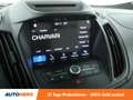 Ford Kuga 2.0 TDCi Vignale Aut.*NAVI*XENON*ACC*CAM*SPUR* Beige - thumbnail 20