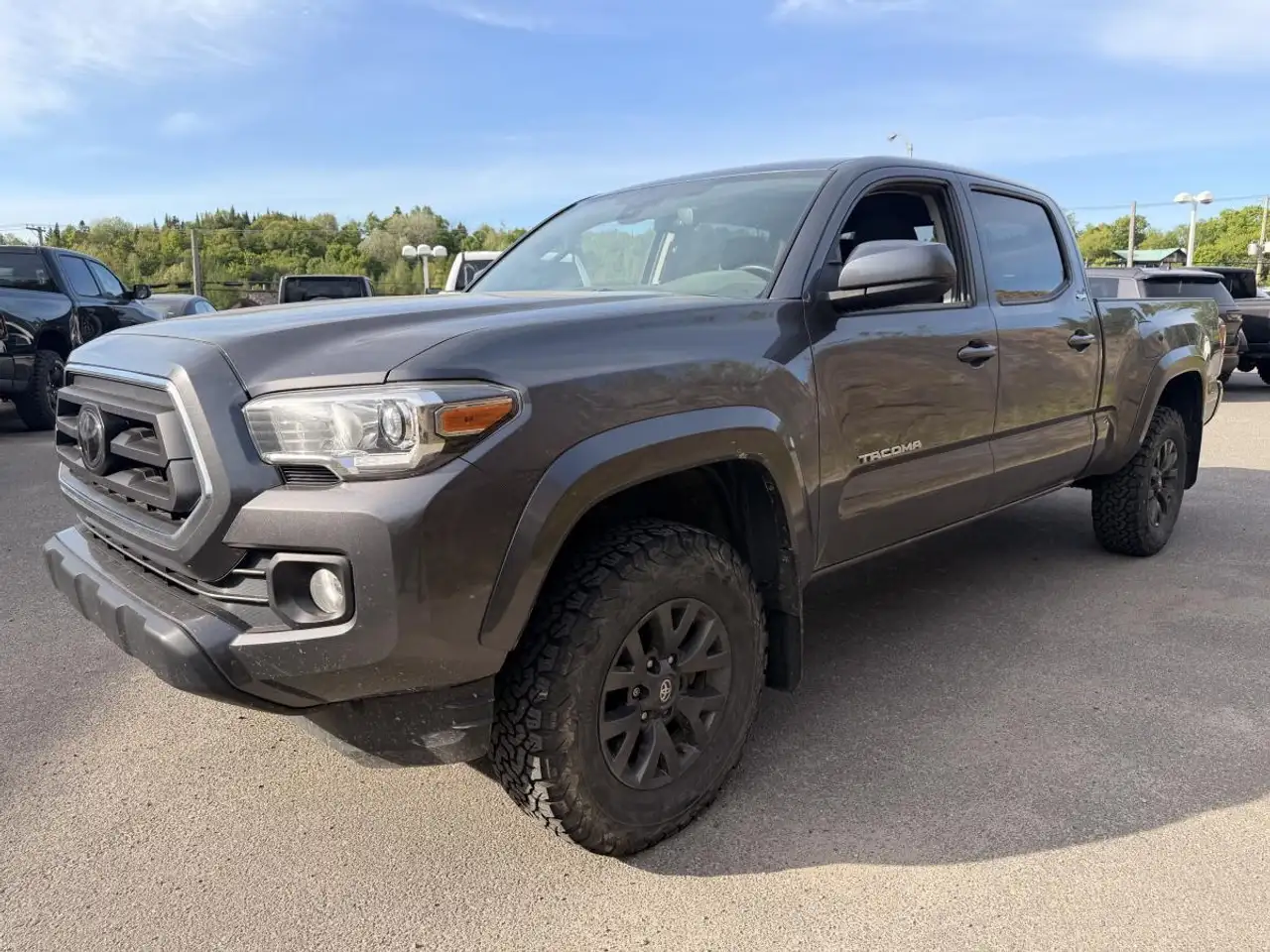 Toyota Tacoma fotografie Toyota Tacoma