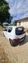 Fiat 600 young 900 Bílá - thumbnail 8