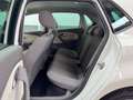 Volkswagen Polo FRESH SPORT-SELECT KLIMAAUTOMATIK PDC v+h SHZ 1... Bianco - thumbnail 11