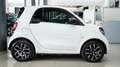 smart forTwo 1.0 YOUNGSTER 71 CV TWINAMIC AUTO NAVI PELLE FULL Bianco - thumbnail 3