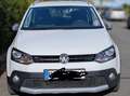Volkswagen Polo Cross Polo V  5-Türer 1.2 TSI - thumbnail 3
