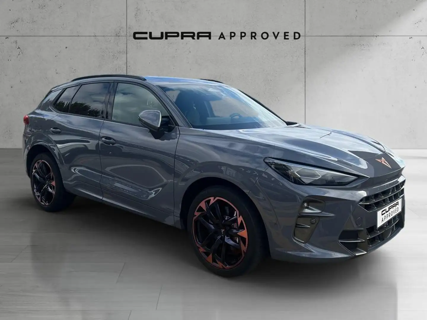 CUPRA Terramar 2.0 TSI VZ 195kW DSG 4Drive Gris - 1