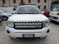 Land Rover Freelander II 2.2 sd4 HSE 190cv auto OTTIMO STATO Blanc - thumbnail 2