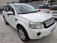 Land Rover Freelander II 2.2 sd4 HSE 190cv auto OTTIMO STATO Blanc - thumbnail 3