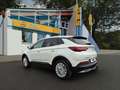 Opel Grandland X Grandland Dynamic AHK SHZ LHZ el Klappe Weiß - thumbnail 3