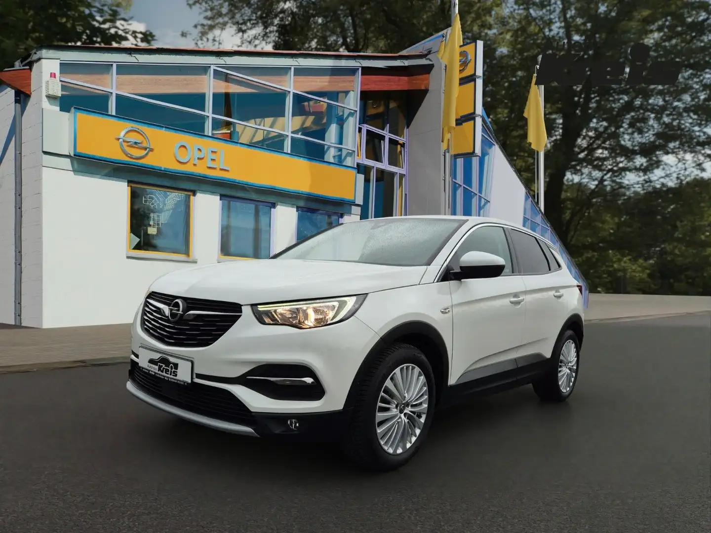 Opel Grandland X Grandland Dynamic AHK SHZ LHZ el Klappe Weiß - 1