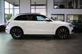 Audi Q5 2.0 TDI quattro S line Sportpaket exclusive Blanc - thumbnail 11