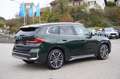 BMW X1 xDrive23i xLine Head-Up Glasdach eSitze 360Kamera Grün - thumbnail 4