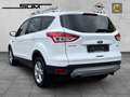 Ford Kuga Sync Edition, Klimaautomatik - Sitzheizung - Navig Blanc - thumbnail 3