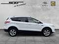 Ford Kuga Sync Edition, Klimaautomatik - Sitzheizung - Navig Blanc - thumbnail 7