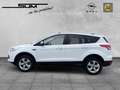 Ford Kuga Sync Edition, Klimaautomatik - Sitzheizung - Navig Blanc - thumbnail 2