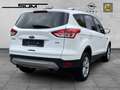 Ford Kuga Sync Edition, Klimaautomatik - Sitzheizung - Navig Blanc - thumbnail 6