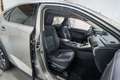 Lexus NX 300 300h Premium 2WD Gris - thumbnail 15