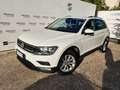 Volkswagen Tiguan 2.0 TDI 150 CV 65.000 KM - MINI RATA Bianco - thumbnail 2