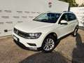 Volkswagen Tiguan 2.0 TDI 150 CV 65.000 KM - MINI RATA Bianco - thumbnail 1