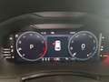 Skoda Scala TSI DSG  SmartLink LED PDC Sitzheiz ACC Bleu - thumbnail 7