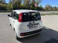 Fiat Panda 1.2 Easy easypower Gpl 69cv - thumbnail 3