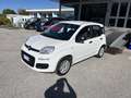 Fiat Panda 1.2 Easy easypower Gpl 69cv - thumbnail 2