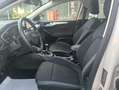 Ford Focus 2020 SW SW 1.5 ecoblue Business s Beige - thumbnail 8