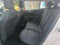Ford Focus 2020 SW SW 1.5 ecoblue Business s Beige - thumbnail 11