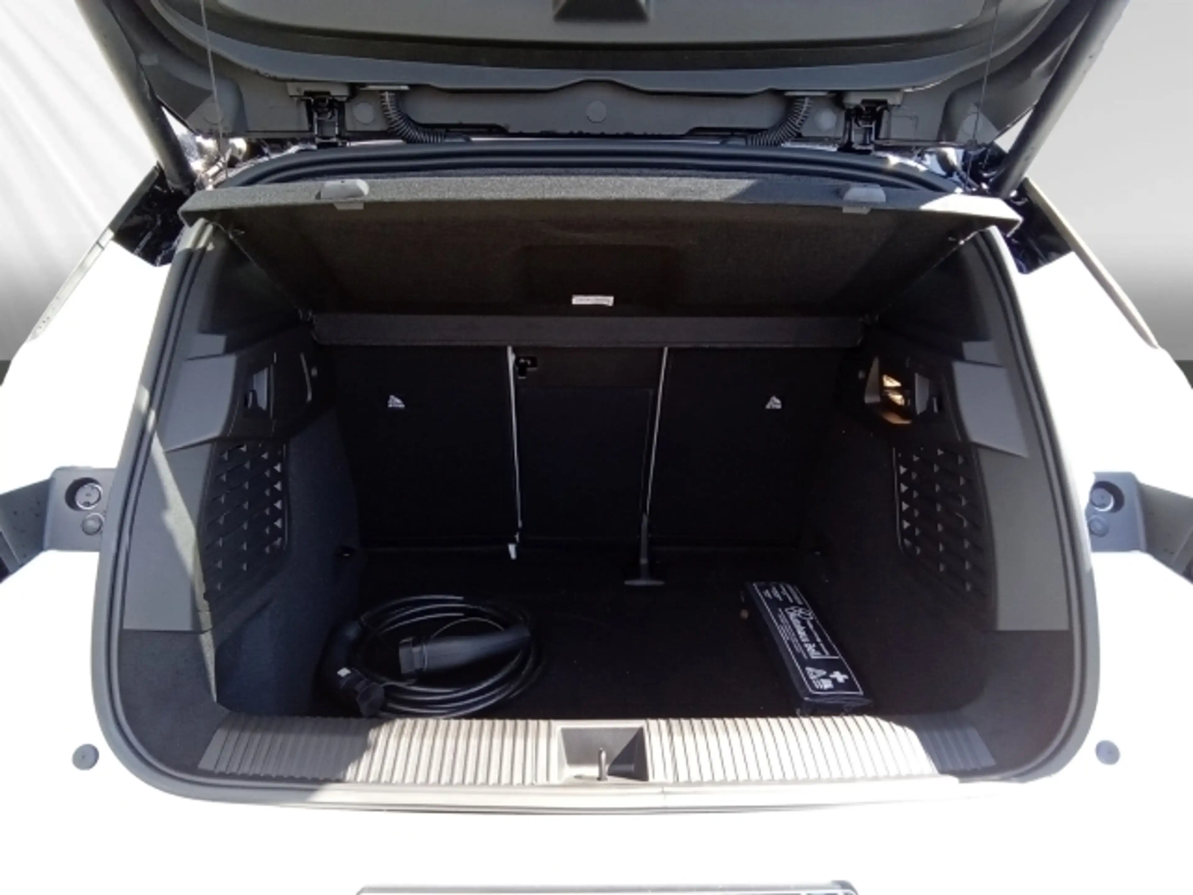 Renault Scenic Iconic 220 Long Range — photo 8