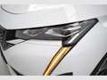 Peugeot 2008 First Edition Eléctrico 115kW Blanc - thumbnail 22