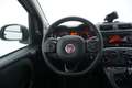 Fiat Panda 4x4 1.3 Diesel 95CV Weiß - thumbnail 11