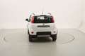 Fiat Panda 4x4 1.3 Diesel 95CV Weiß - thumbnail 4