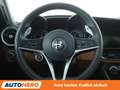 Alfa Romeo Giulia 2.2 JTDM Super Aut*NAVI*XENON*TEMPO*CAM*PDC*SHZ* Grau - thumbnail 19