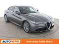 Alfa Romeo Giulia 2.2 JTDM Super Aut*NAVI*XENON*TEMPO*CAM*PDC*SHZ* Grau - thumbnail 8