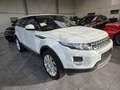 Land Rover Range Rover Evoque Dynamic/erst 80000 km! Weiß - thumbnail 5