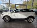 Land Rover Range Rover Evoque Dynamic/erst 80000 km! Weiß - thumbnail 2
