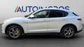 Alfa Romeo Stelvio Stelvio 2020 2.2 t Sprint Q4 190cv auto Wit - thumbnail 8