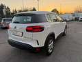 Citroen C5 Aircross Puretech 130 cv NO VINCOLI Blanc - thumbnail 4