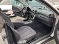 Mercedes-Benz CLK 240 CLK 240 "GETRIEBE PROBLEM" - thumbnail 15