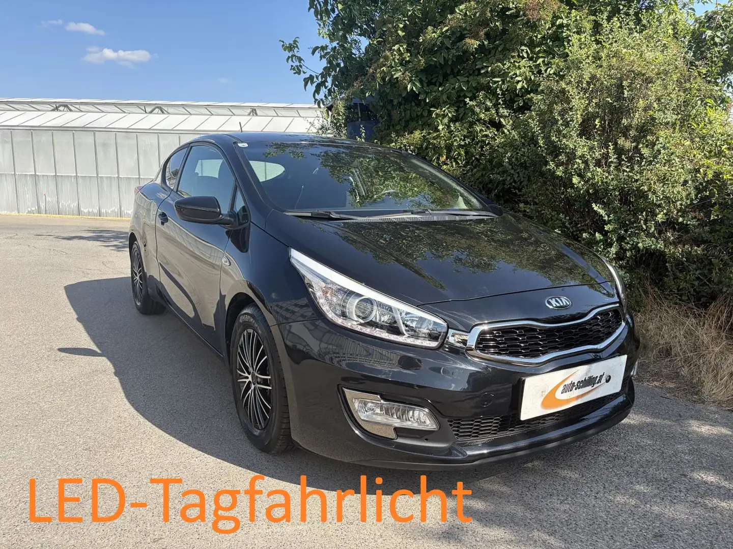 Kia Ceed / cee'd 1,4 ProCeed Österreich Paket PDC Navi Kamera Schwarz - 1