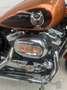 Harley-Davidson 1200 Custom XL 1200 Custom 105eme Anniverssaire. Bronz - thumbnail 4