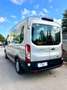 Ford Transit TRASPORTO DISABILI 9 POSTI SOLLEVATORE CARROZZINA Gris - thumbnail 12